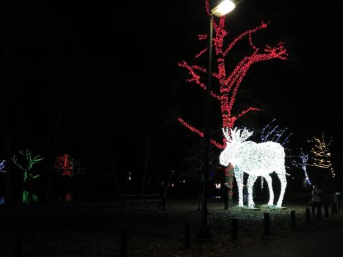 IMG_20211124_210542