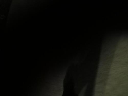 IMG_20211124_211031