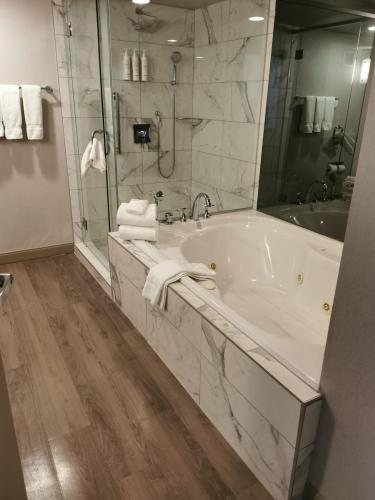 IMG_20230316_163518