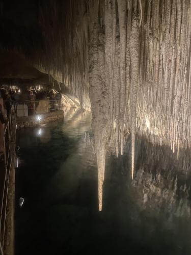 IMG_3611