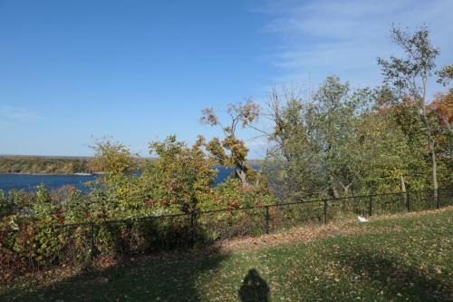 L1000917