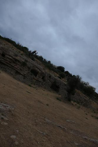 L1002851