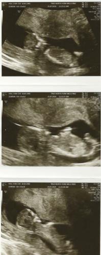Week 13 - July 25, 2024