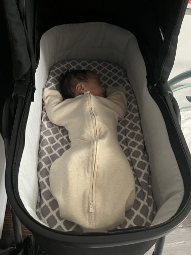 IMG 0785
