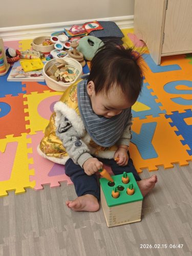 IMG 20260215 064759 (1)